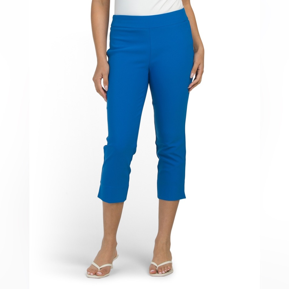 Rachel Zoe Women’s Crop Ponte Knit Pants - Blue